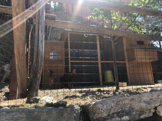 Rivierarent Appartamento Ulivo Finale Ligure Exterior photo